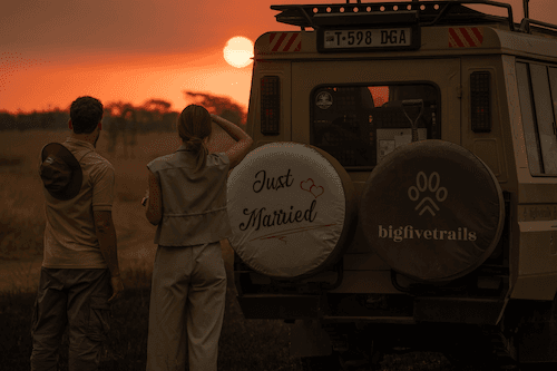 Slow luxury in the bush.