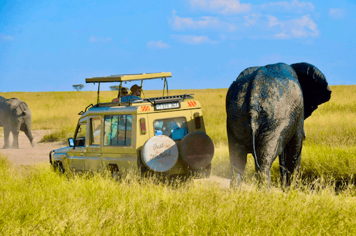 Classic Safari 6 Days
