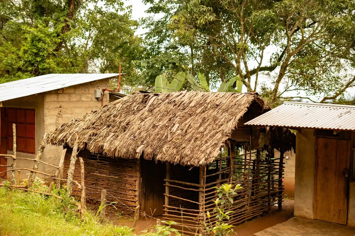 Traditional Chagga house in the Materuni village on Kilimanjaro's slopes