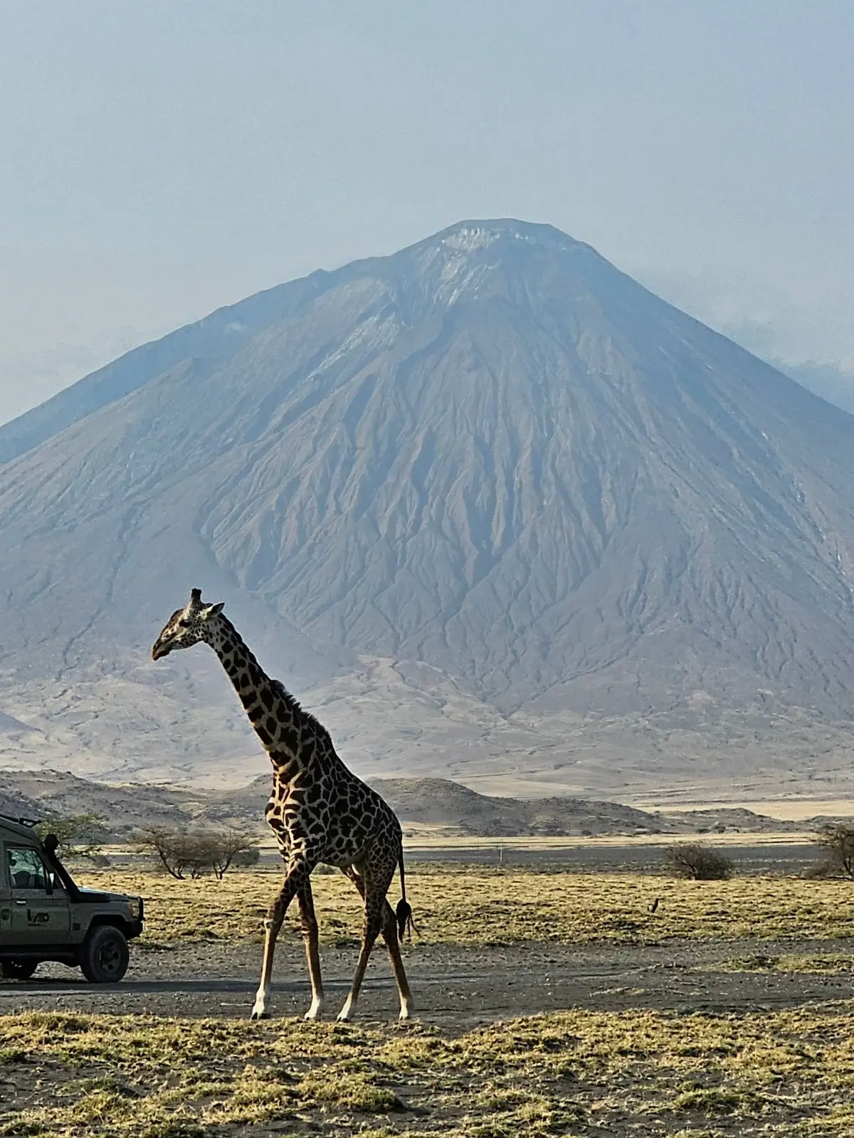 10-Day Northern Tanzania Safari: Lake Natron, Serengeti Migration & Lake Eyasi