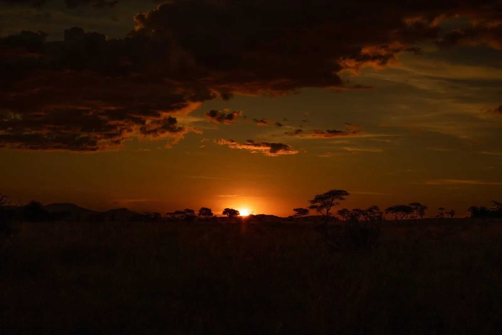 La mejor época para visitar el Serengeti: guía mes a mes