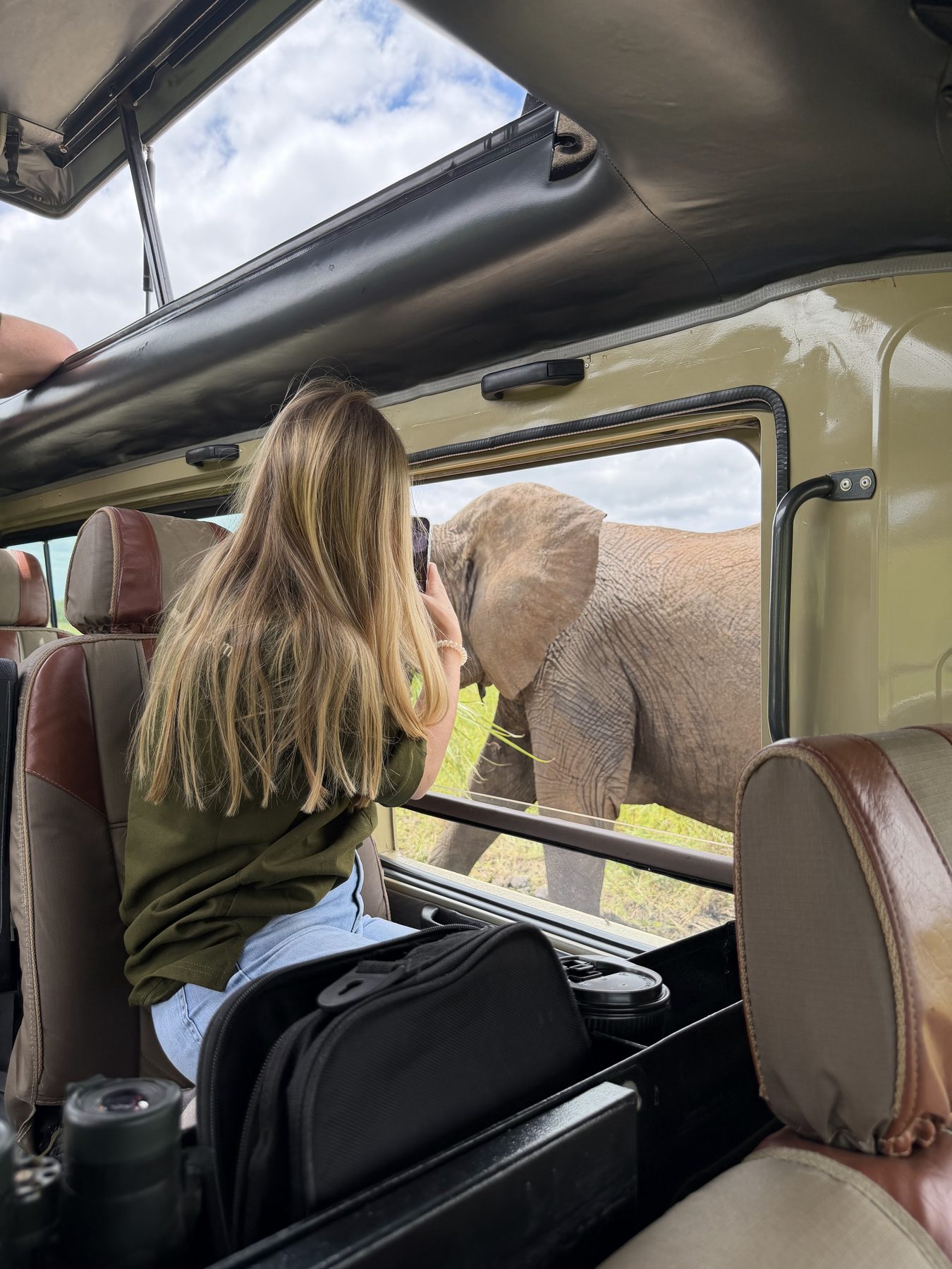 Viajera observando un elefante desde la ventanilla del Land Cruiser