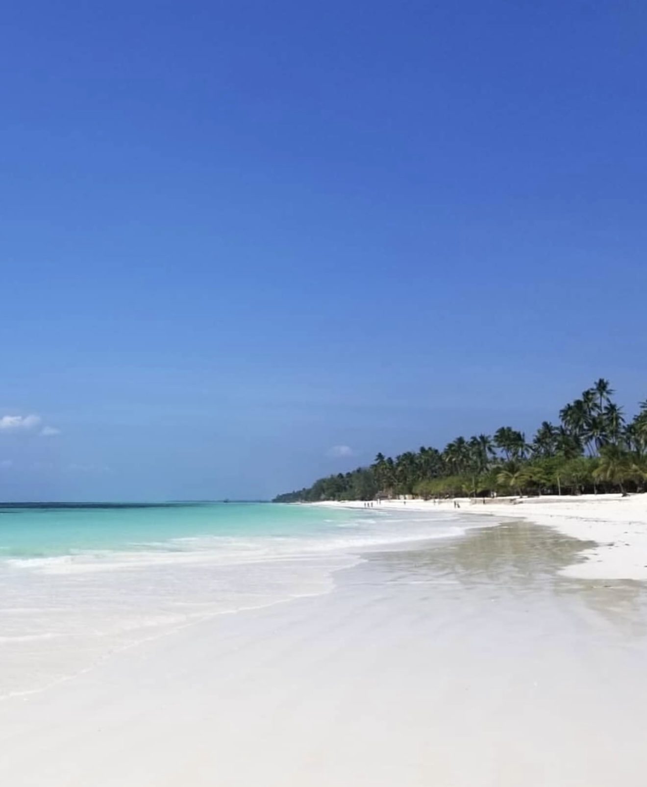 10 Days Ultimate Tanzania Safari & Zanzibar
